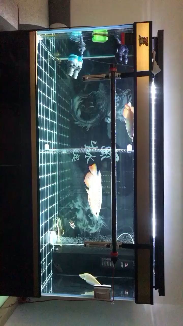 兩天沒洗臉缸擦的比臉都干凈