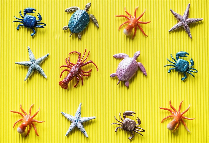 大湖紅龍魚苗子的養(yǎng)殖方法及大湖紅龍魚苗子的養(yǎng)殖方法，大湖紅龍魚苗子介紹