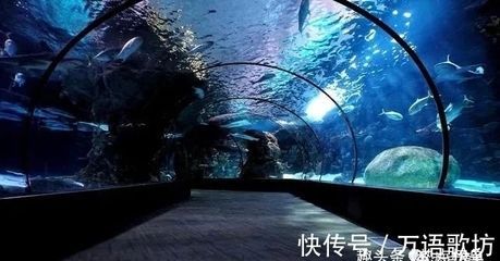 中國水族館排名榜：2018中國水族館排名榜