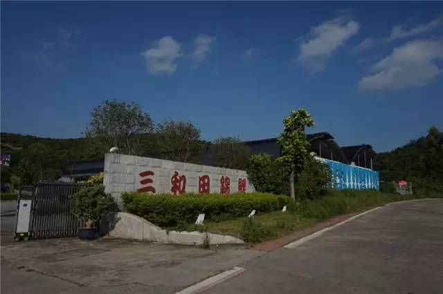包頭水族館東莞錦鯉協(xié)會(huì)——走進(jìn)東莞三和田錦鯉場(chǎng)201511 錦鯉魚(yú)百科 第3張 包頭水族館東莞錦鯉協(xié)會(huì)——走進(jìn)東莞三和田錦鯉場(chǎng)201511 包頭水族館東莞錦鯉協(xié)會(huì)——走進(jìn)東莞三和田錦鯉場(chǎng)201511 錦鯉魚(yú)百科 第3張