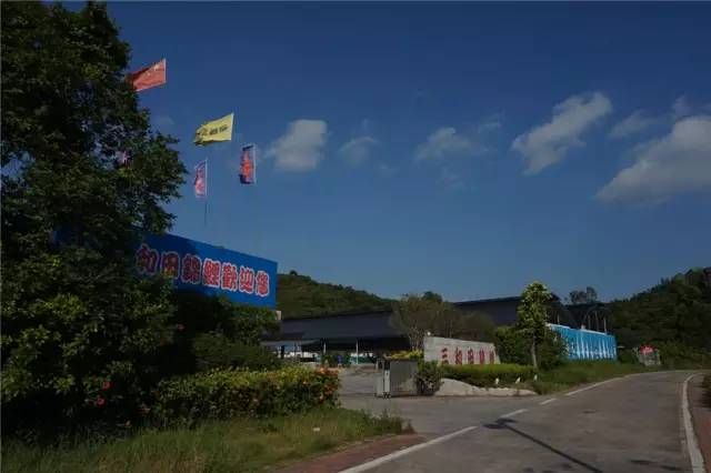 包頭水族館東莞錦鯉協(xié)會(huì)——走進(jìn)東莞三和田錦鯉場(chǎng)201511 錦鯉魚(yú)百科 第2張 包頭水族館東莞錦鯉協(xié)會(huì)——走進(jìn)東莞三和田錦鯉場(chǎng)201511 包頭水族館東莞錦鯉協(xié)會(huì)——走進(jìn)東莞三和田錦鯉場(chǎng)201511 錦鯉魚(yú)百科 第2張