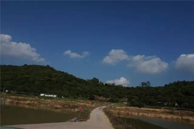 包頭水族館東莞錦鯉協(xié)會(huì)——走進(jìn)東莞三和田錦鯉場(chǎng)201511 錦鯉魚(yú)百科 第8張 包頭水族館東莞錦鯉協(xié)會(huì)——走進(jìn)東莞三和田錦鯉場(chǎng)201511 包頭水族館東莞錦鯉協(xié)會(huì)——走進(jìn)東莞三和田錦鯉場(chǎng)201511 錦鯉魚(yú)百科 第8張