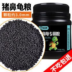 養一只豬鼻龜成本多少：養一只豬鼻龜多少錢