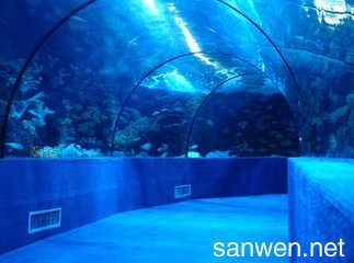 關于水族館的作文400字：《奇妙的水族館之旅》作文寫作技巧