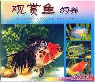 觀賞魚繁殖技術（關于觀賞魚的繁殖技術）