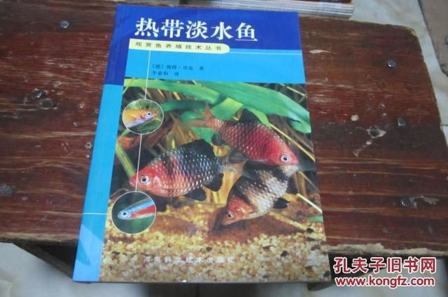 觀賞魚繁殖技術（關于觀賞魚的繁殖技術）