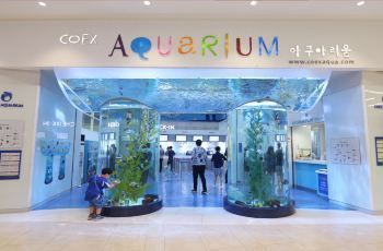 水族館好玩嗎？（三亞亞特蘭蒂斯水族館拍照攻略水族館親子游的互動體驗(yàn)）