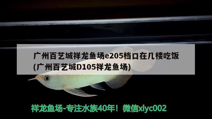 廣州百藝城祥龍魚場e205檔口在幾樓吃飯(廣州百藝城D105祥龍魚場)