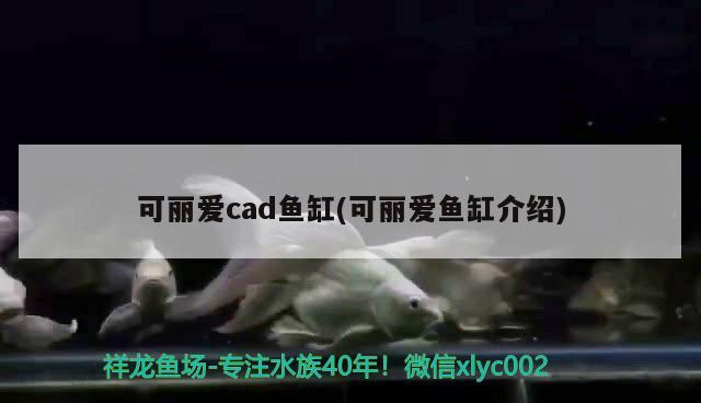 西安生態魚缸批發市場在哪里啊最近(西安哪里有賣生態魚缸的)