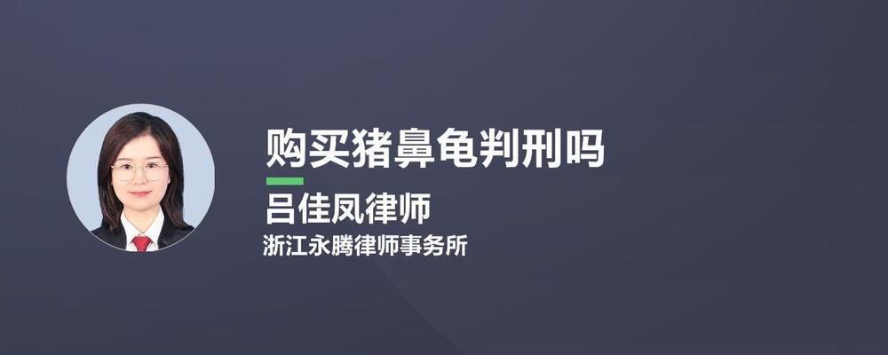 購買豬鼻龜判刑嗎：購買豬鼻龜會判刑嗎如果購買豬鼻龜會判刑嗎