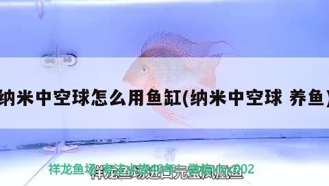 納米中空球怎么用魚缸(納米中空球養魚)