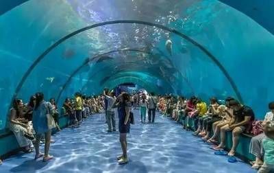 水族館干啥的：水族館是一個專門用于展示和飼養(yǎng)水生生物的場所