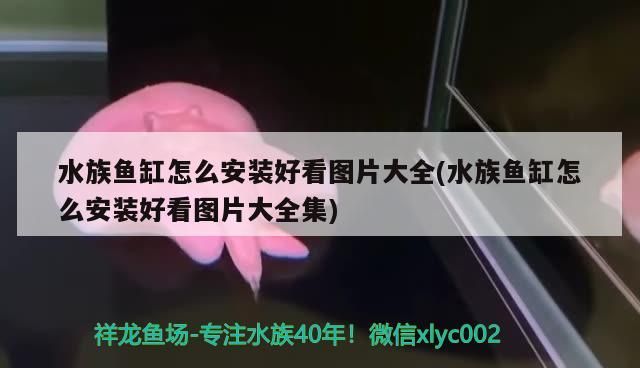 水族魚缸怎么安裝好看圖片大全(水族魚缸怎么安裝好看圖片大全集)