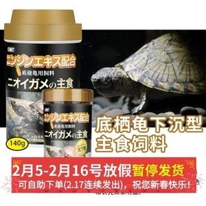 豬鼻龜的蛋：豬鼻龜怎么看公母