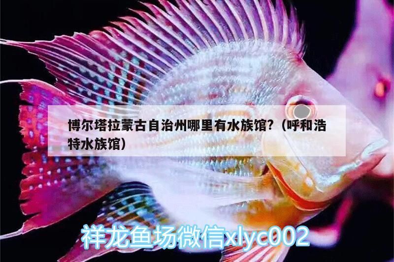 博爾塔拉蒙古自治州哪里有水族館?（呼和浩特水族館）