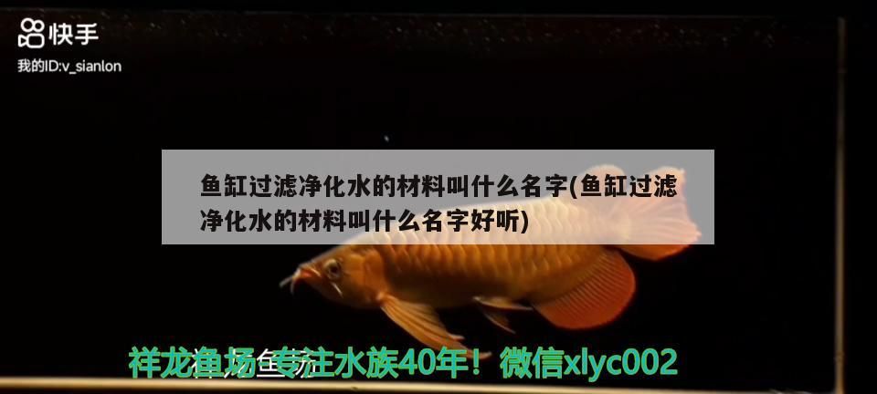 魚缸過濾凈化水的材料叫什么名字(魚缸過濾凈化水的材料叫什么名字好聽) 黃金貓魚百科 第3張 魚缸過濾凈化水的材料叫什么名字(魚缸過濾凈化水的材料叫什么名字好聽) 魚缸過濾凈化水的材料叫什么名字(魚缸過濾凈化水的材料叫什么名字好聽) 黃金貓魚百科 第3張