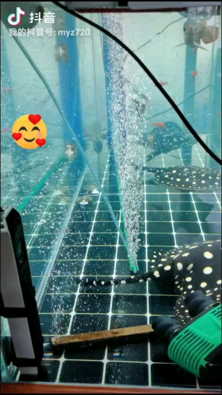 新增新成員