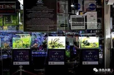 想開(kāi)個(gè)水族館怎么開(kāi)店（如何開(kāi)設(shè)水族館）
