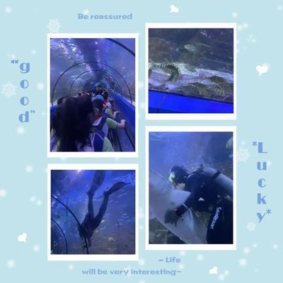 美麗水世界水族館（廣州美麗水世界水族館）