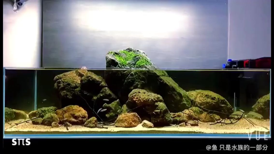 超市水產魚缸規范：超市魚缸水溫多少度合適