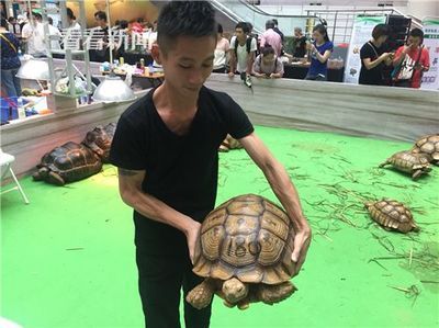 2024水族展會(huì)時(shí)間表安徽：2024年在安徽舉辦的水族展會(huì)時(shí)間表