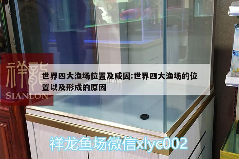 世界四大漁場位置及成因:世界四大漁場的位置以及形成的原因