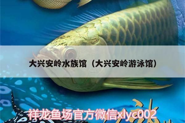 大興安嶺龍魚vs大興安嶺水族批發(fā)市場vs大興安嶺水族館vs大興安嶺魚缸批發(fā)市場vs祥龍魚場：大興安嶺水族批發(fā)市場