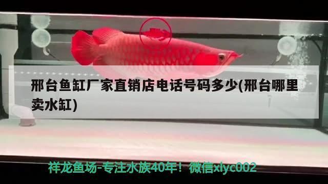 邢臺魚缸廠家直銷店電話號碼多少(邢臺哪里賣水缸)