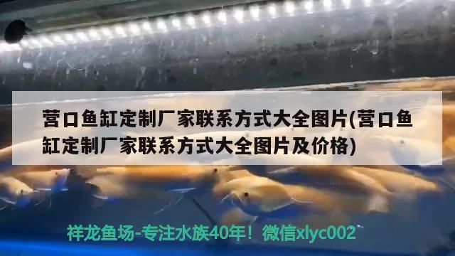 營口魚缸定制廠家聯系方式大全圖片(營口魚缸定制廠家聯系方式大全圖片及價格)