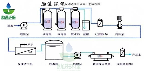 豬鼻和龍魚能不能混養呢視頻：豬鼻與龍魚混養的可行性探究
