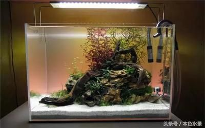 水族館開店流程圖怎么畫好看（水族館開店流程圖）