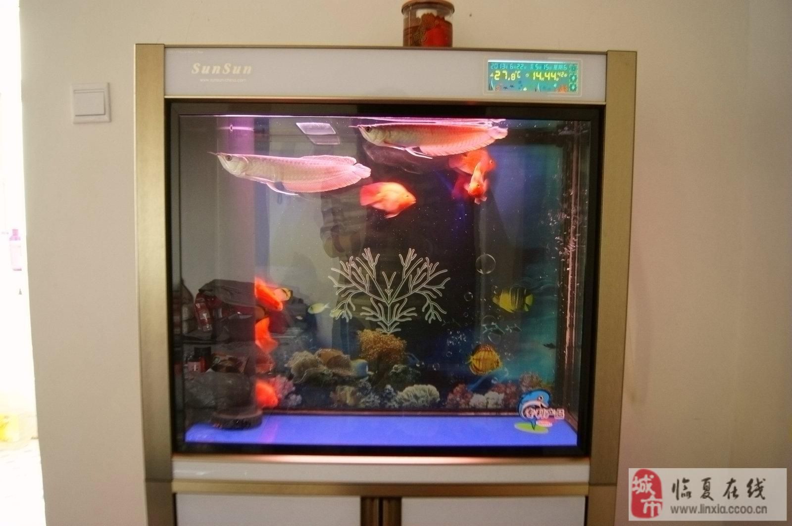 cr230魚(yú)缸安裝