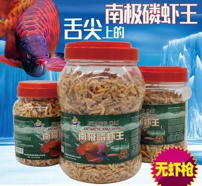 過背金龍魚發色最佳飼料：如何選擇優質魚飼料，過背金龍魚飼料添加劑效果