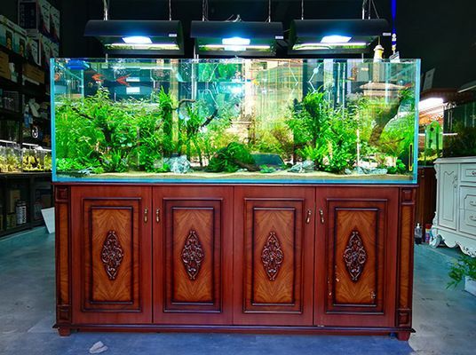 水族館加盟條件及費用表格（水族館加盟條件及費用表）