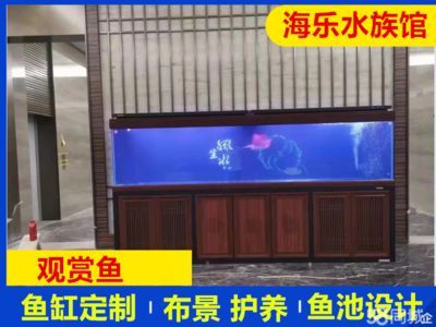 東莞龍魚(yú)vs東莞水族批發(fā)市場(chǎng)vs東莞水族館vs東莞魚(yú)缸批發(fā)市場(chǎng)vs祥龍魚(yú)場(chǎng)：東莞水族批發(fā)市場(chǎng) 東莞龍魚(yú)vs東莞水族批發(fā)市場(chǎng)vs東莞水族館vs東莞魚(yú)缸批發(fā)市場(chǎng)vs祥龍魚(yú)場(chǎng)：東莞水族批發(fā)市場(chǎng) 祥龍魚(yú)場(chǎng)各市分站 第6張