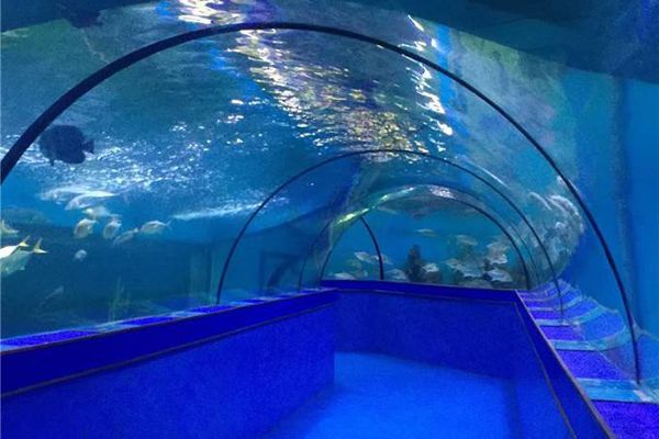 水族館 知乎：全球第一座水族館于北京海洋魚類及生物達千余種、數萬尾