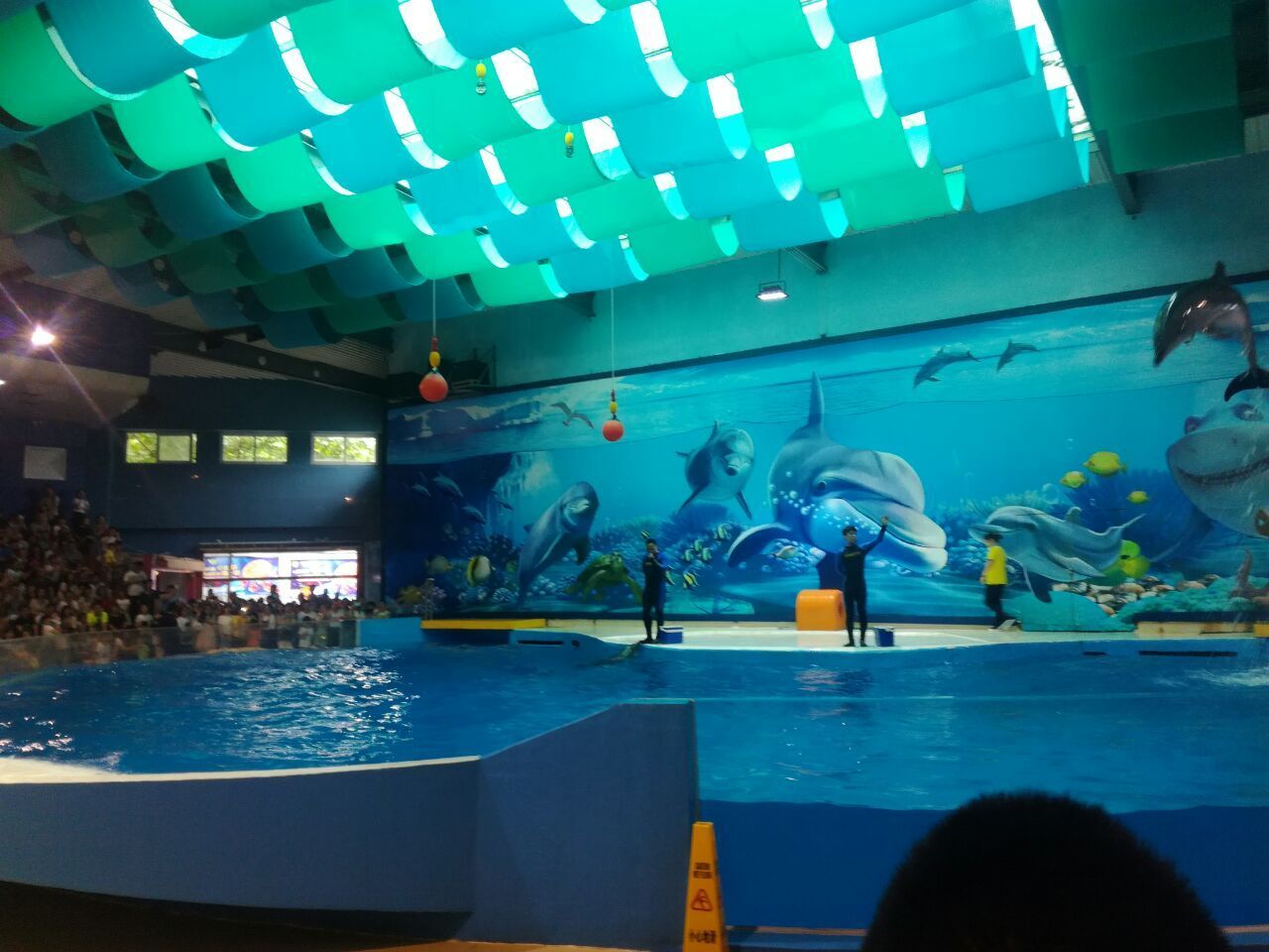 水族館 知乎：全球第一座水族館于北京海洋魚類及生物達千余種、數萬尾