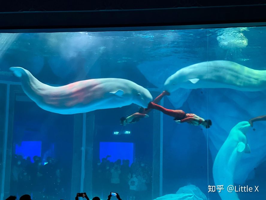 水族館 知乎：全球第一座水族館于北京海洋魚類及生物達千余種、數萬尾
