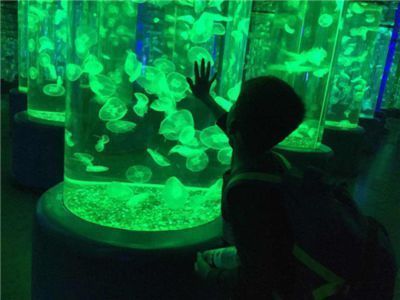 畢節龍魚vs畢節水族批發市場vs畢節水族館vs畢節魚缸批發市場vs祥龍魚場：畢節地區水族行業的幾個主要市場 畢節龍魚vs畢節水族批發市場vs畢節水族館vs畢節魚缸批發市場vs祥龍魚場：畢節地區水族行業的幾個主要市場 祥龍魚場各市分站 第4張
