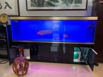 1米魚缸尺寸：1米魚缸尺寸選擇需要考慮多個因素，新手養(yǎng)魚者需要考慮多個因素