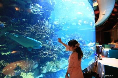 水族館生物過濾系統的最新進展