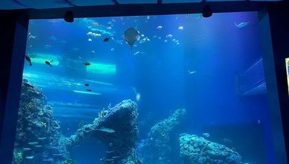 水族館布局 水族館百科(水族館加盟) 第4張 水族館布局 水族館布局 水族館百科(水族館加盟) 第4張