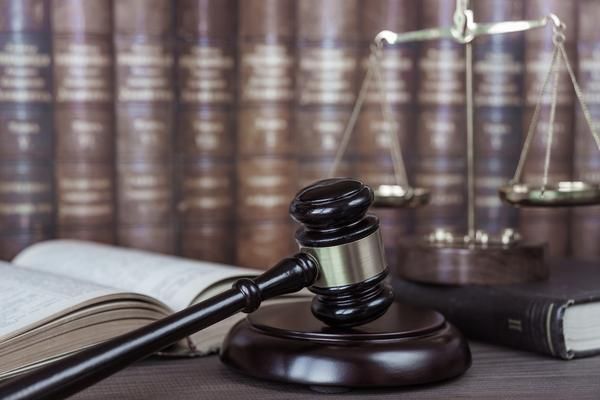 豬鼻龜處罰案例：關于豬鼻龜處罰