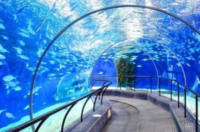 開一家水族館需要些什么證件和材料呢：開一家水族館需要些什么證件和材料