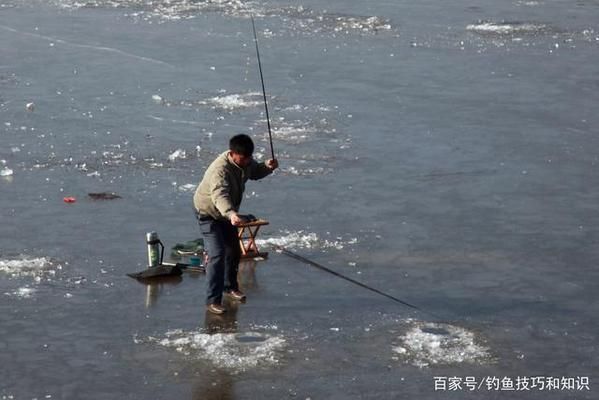 珠海魚缸 龍魚世家水族館都說好：珠海魚缸之韻，龍魚世家水族館的匠心獨運