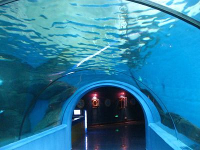 水族館建設(shè)施工：水族館建設(shè)施工安全管理措施