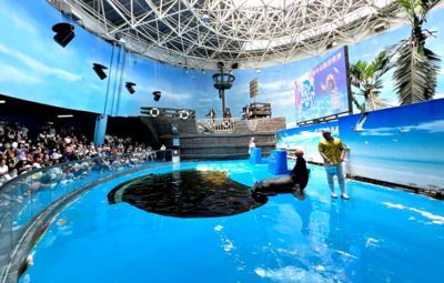 水族館開業宣傳語朋友圈：水族館開業大酬賓
