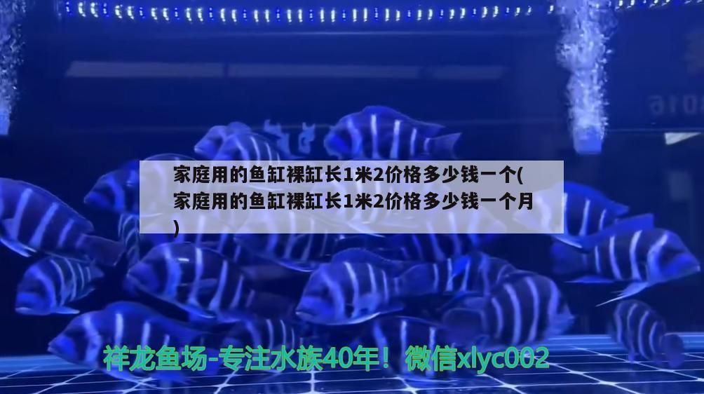 家庭用的魚缸裸缸長1米2價格多少錢一個(家庭用的魚缸裸缸長1米2價格多少錢一個月) 家庭用的魚缸裸缸長1米2價格多少錢一個(家庭用的魚缸裸缸長1米2價格多少錢一個月) 黃金貓魚百科 第3張