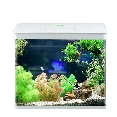 布蘭格迪魚缸，布蘭格迪魚缸價格對比布蘭格迪魚缸價格對比
