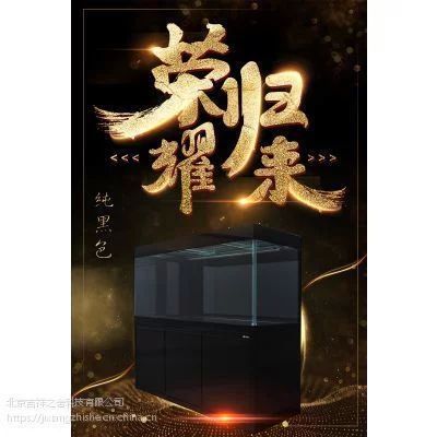 龍魚撞缸vs祥龍魚場：如何預防龍魚撞缸